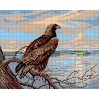 Orchidean kanavatyö Maakotka Järven yllä, painettu Ferdinand von Wrightin teokesen pohjalta.